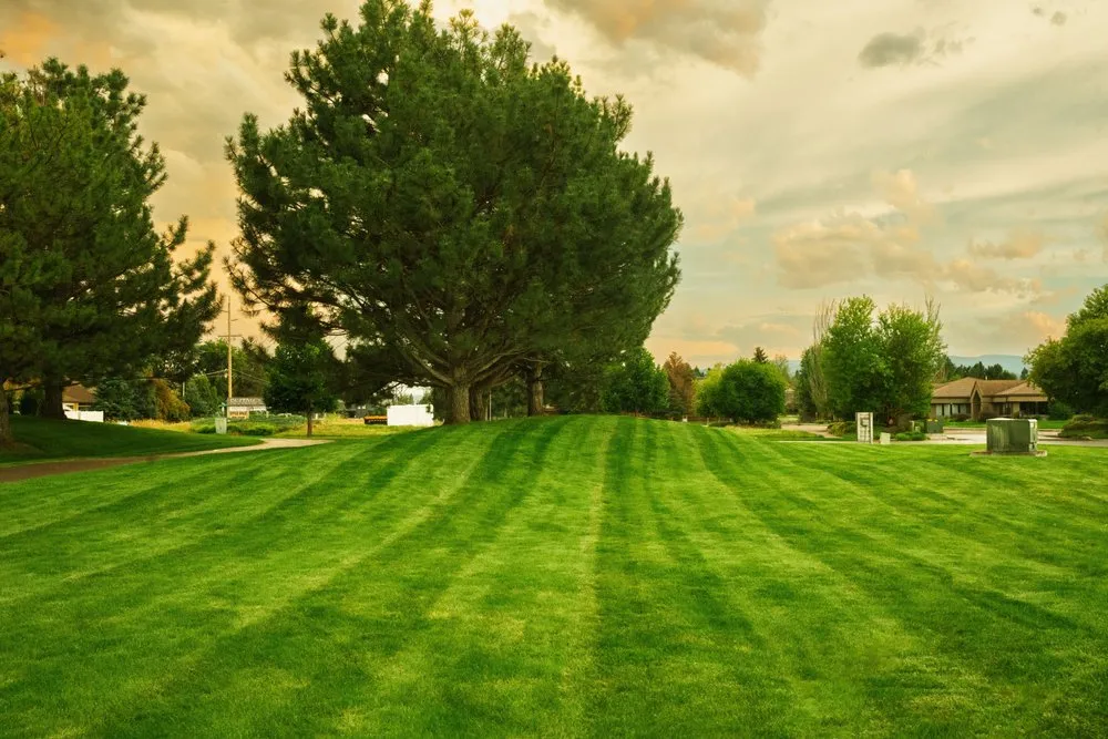 Reliable lawn care service in Kalispell, MT by AAA Lawn Care