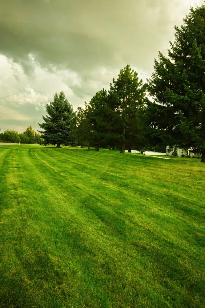 Top-rated landscape installation for outdoor upgrades in Kalispell, MT by AAA Lawn Care