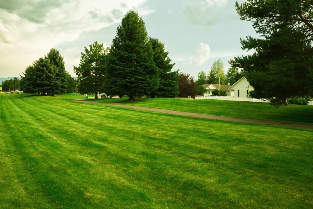 Affordable outdoor landscaping in Kalispell, MT - AAA Lawn Care