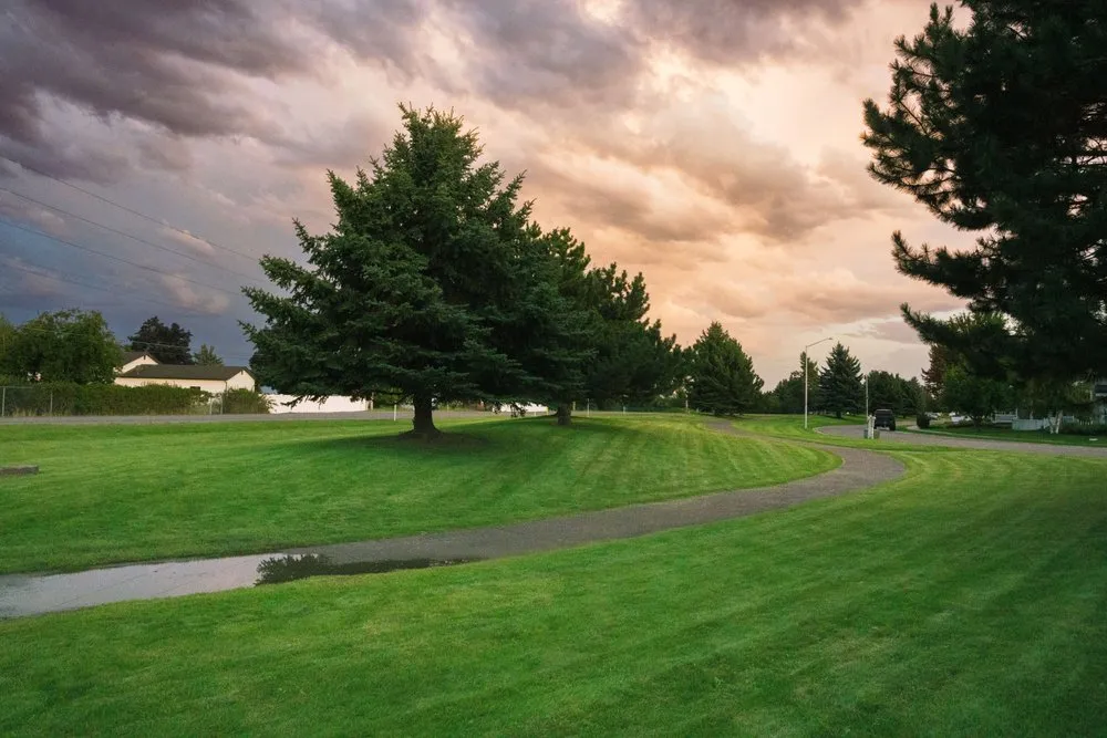 Professional lawn mowing service in Kalispell, MT - AAA Lawn Care