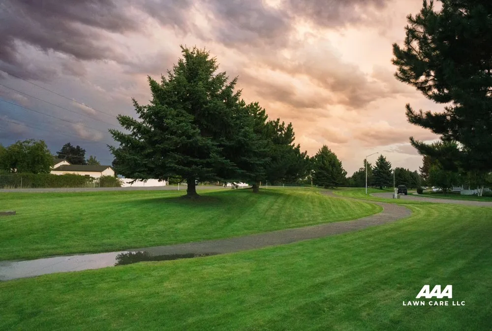 Professional lawn mowing service for year-round maintenance in Kalispell, MT by AAA Lawn Care