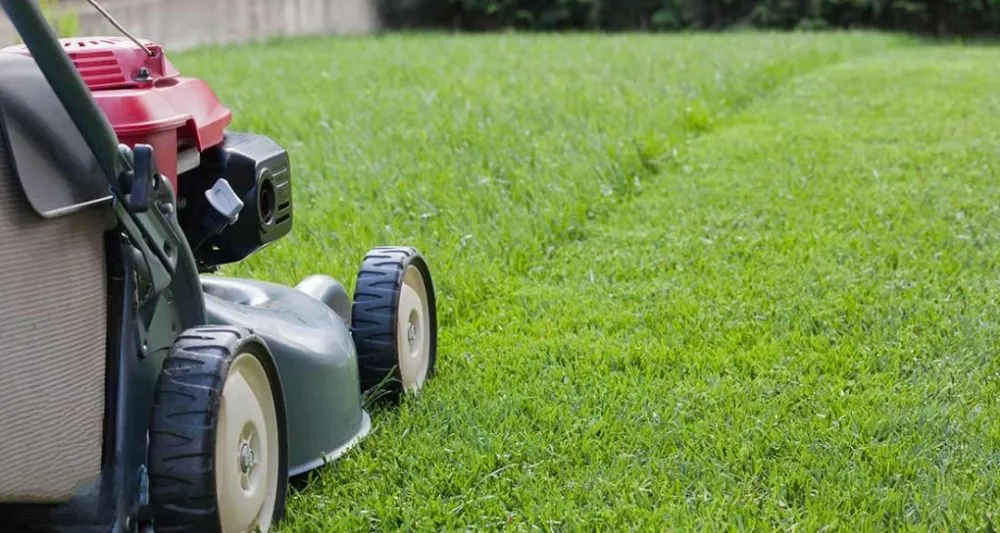 Affordable lawn mowing service in Lindale, GA - AAA Lawn Care