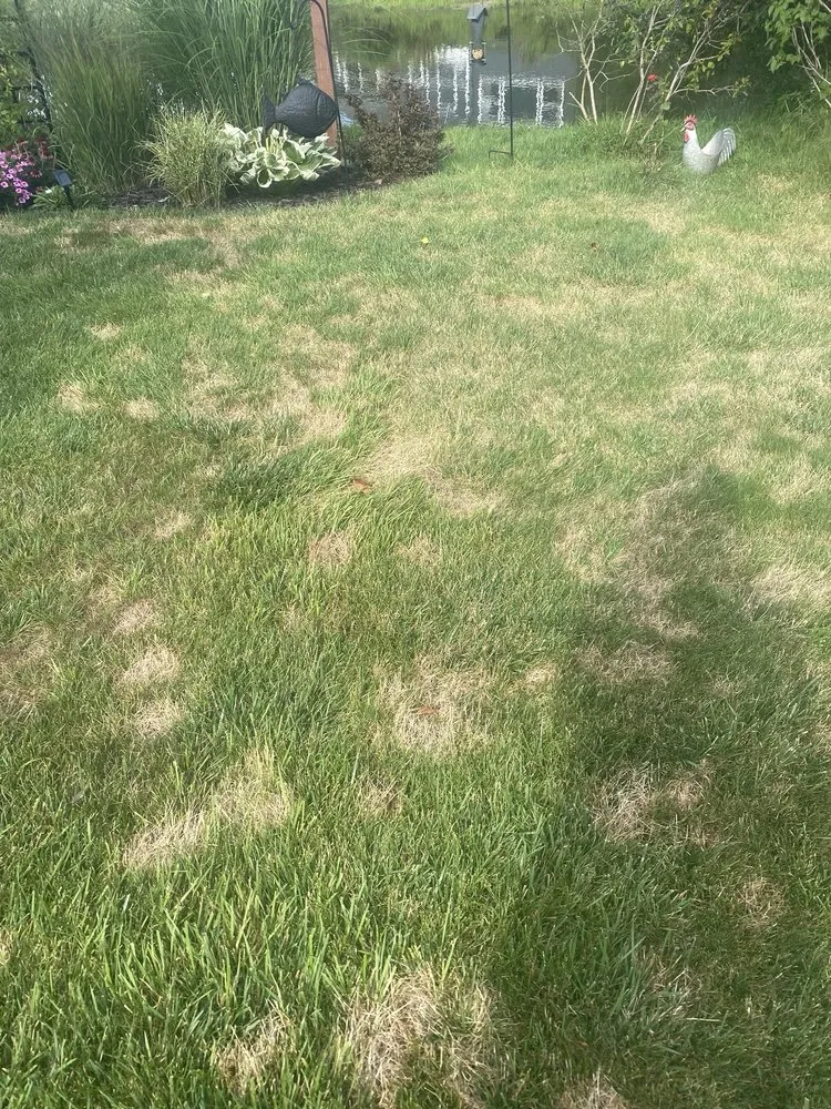 Custom lawn mowing service for beautiful yards in Muskegon, MI by AAA Lawn Care