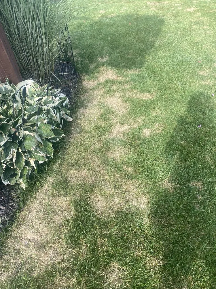 Trusted landscape design for beautiful yards in Muskegon, MI by AAA Lawn Care