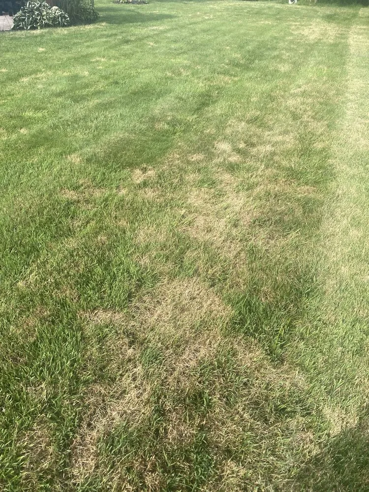 Professional lawn care service in Muskegon, MI by AAA Lawn Care