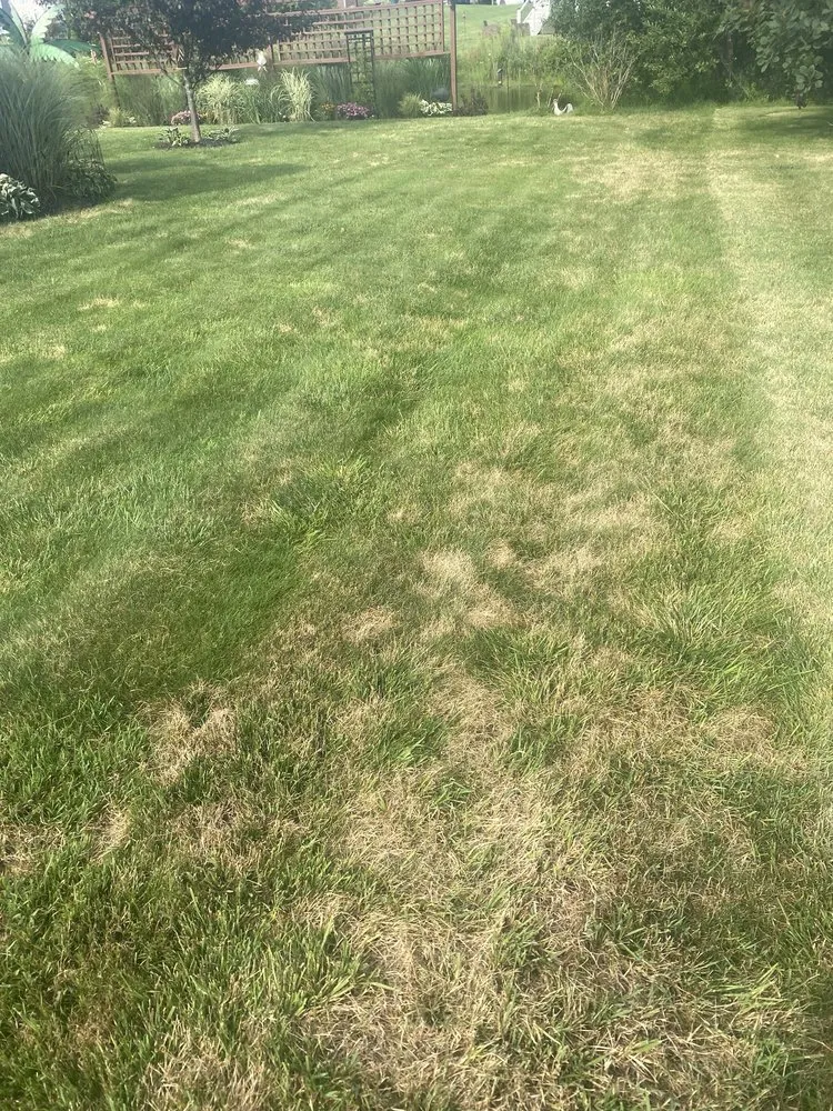 Reliable landscape design for year-round maintenance across Muskegon, MI - AAA Lawn Care