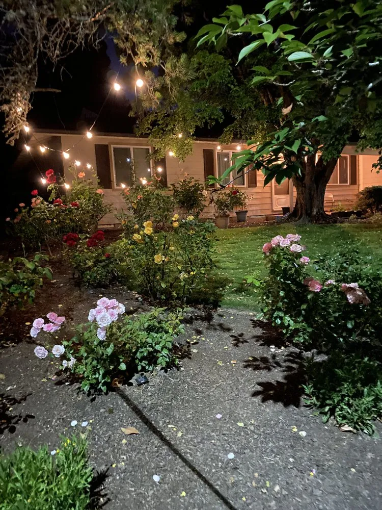 Trusted landscaping services experts serving Portland, OR - AAA Lawn Maintenance and Clean-Up