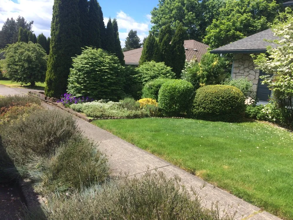 Professional yard cleanup service experts serving Portland, OR - AAA Lawn Maintenance and Clean-Up