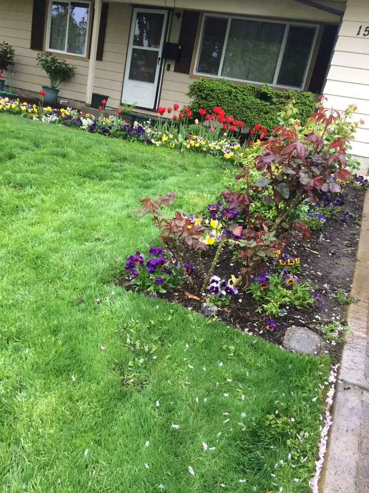 Professional yard cleanup service experts serving Portland, OR - AAA Lawn Maintenance and Clean-Up
