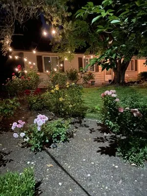 AAA Lawn Maintenance and Clean-Up Logo