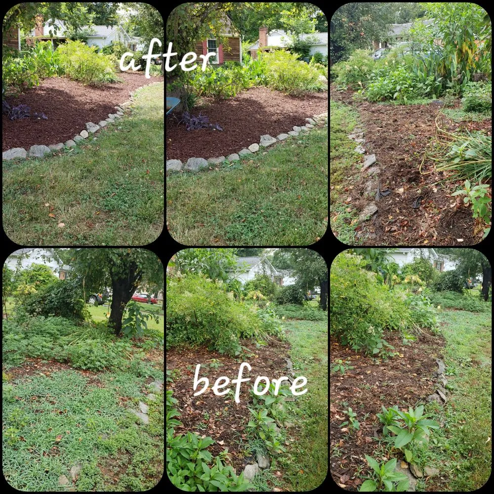 Local yard cleanup service for beautiful yards across Graham, NC - AAA Lawn Maintenance