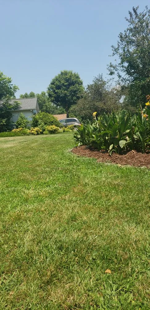 Reliable yard maintenance in Graham, NC by AAA Lawn Maintenance