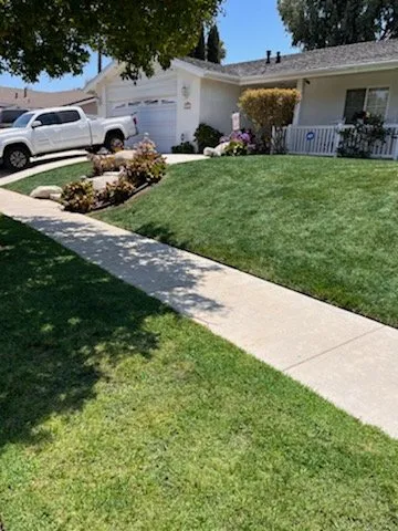 Professional lawn mowing service in Canoga Park, CA - AAA Lawn Painting
