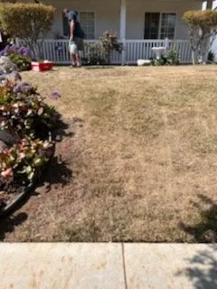 Expert lawn mowing service for outdoor upgrades across Canoga Park, CA - AAA Lawn Painting