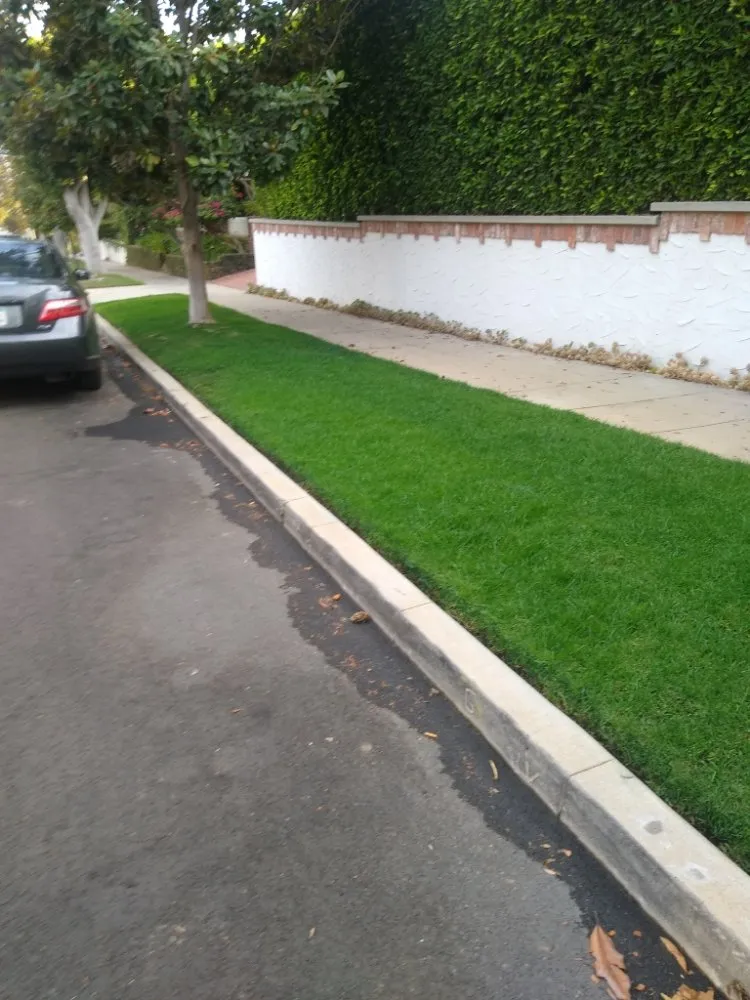 Professional landscaping services for year-round maintenance across Canoga Park, CA - AAA Lawn Painting
