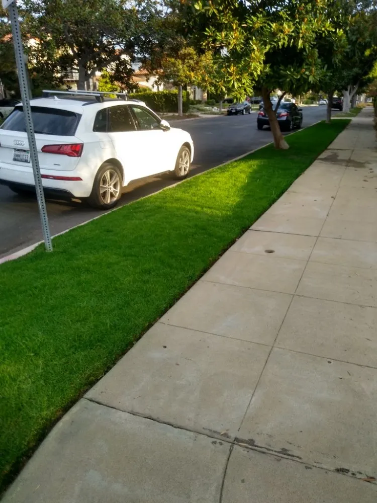 Trusted residential landscaping experts serving Canoga Park, CA - AAA Lawn Painting