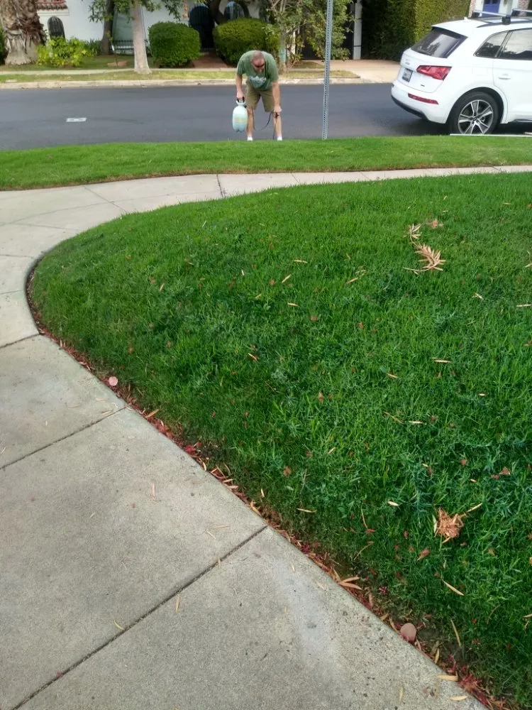 Custom garden landscaping in Canoga Park, CA by AAA Lawn Painting