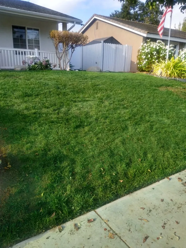 Affordable yard maintenance in Canoga Park, CA - AAA Lawn Painting