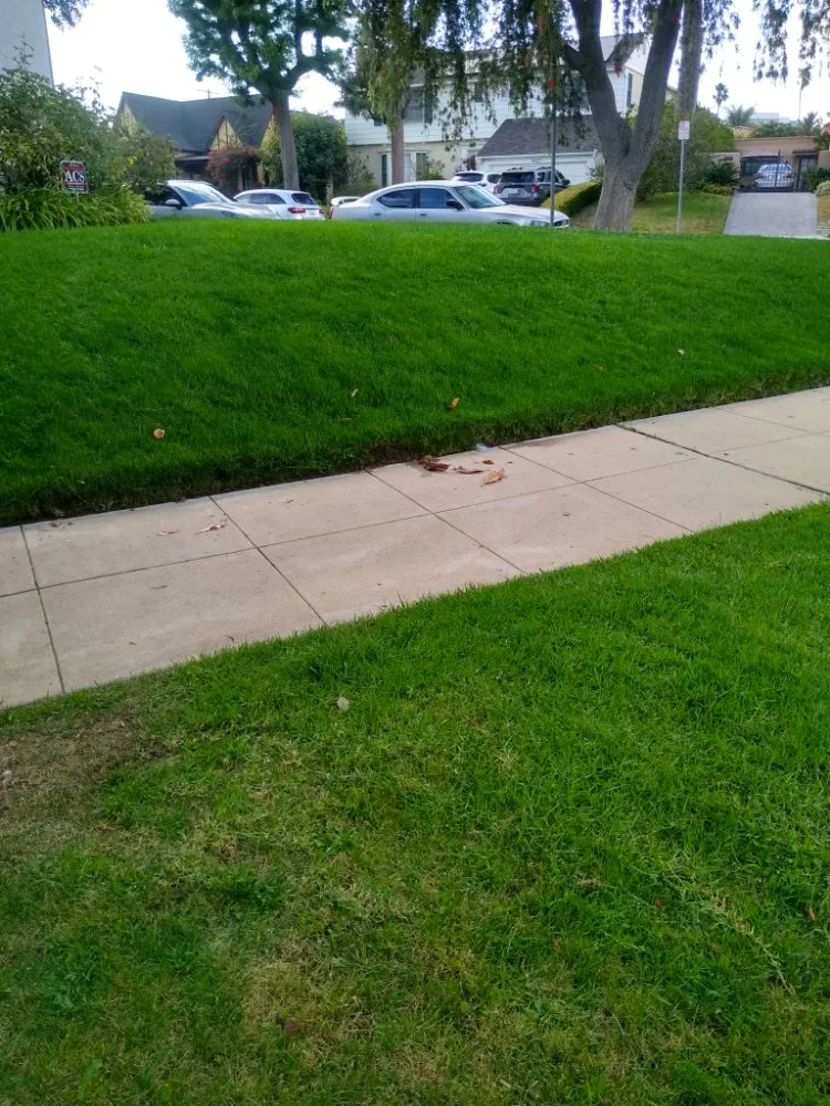 Reliable outdoor landscaping experts serving Canoga Park, CA - AAA Lawn Painting