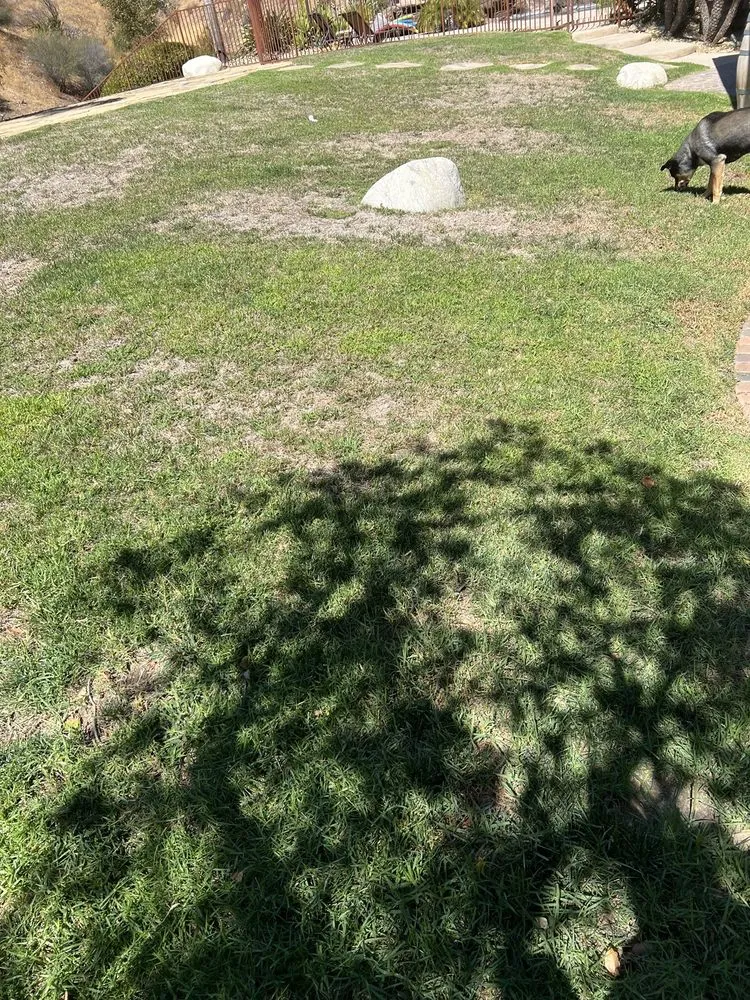 Trusted lawn care service for residential properties across Canoga Park, CA - AAA Lawn Painting