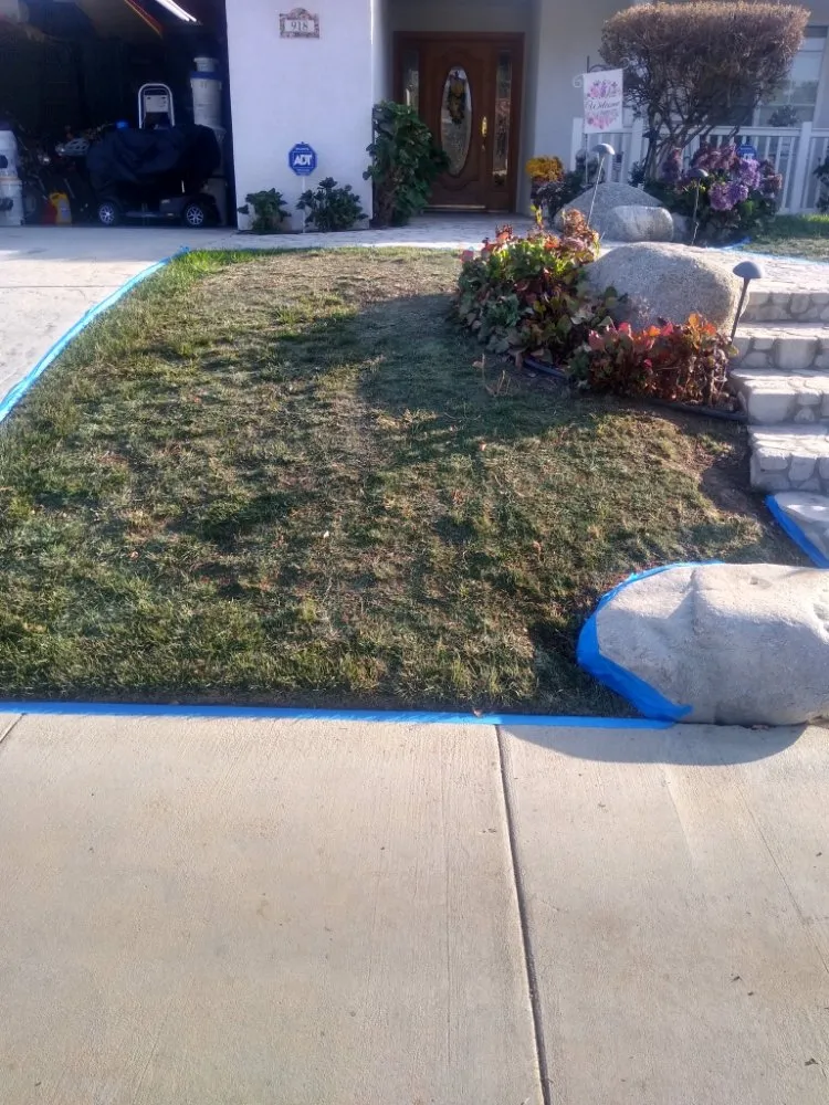 Affordable garden landscaping in Canoga Park, CA - AAA Lawn Painting