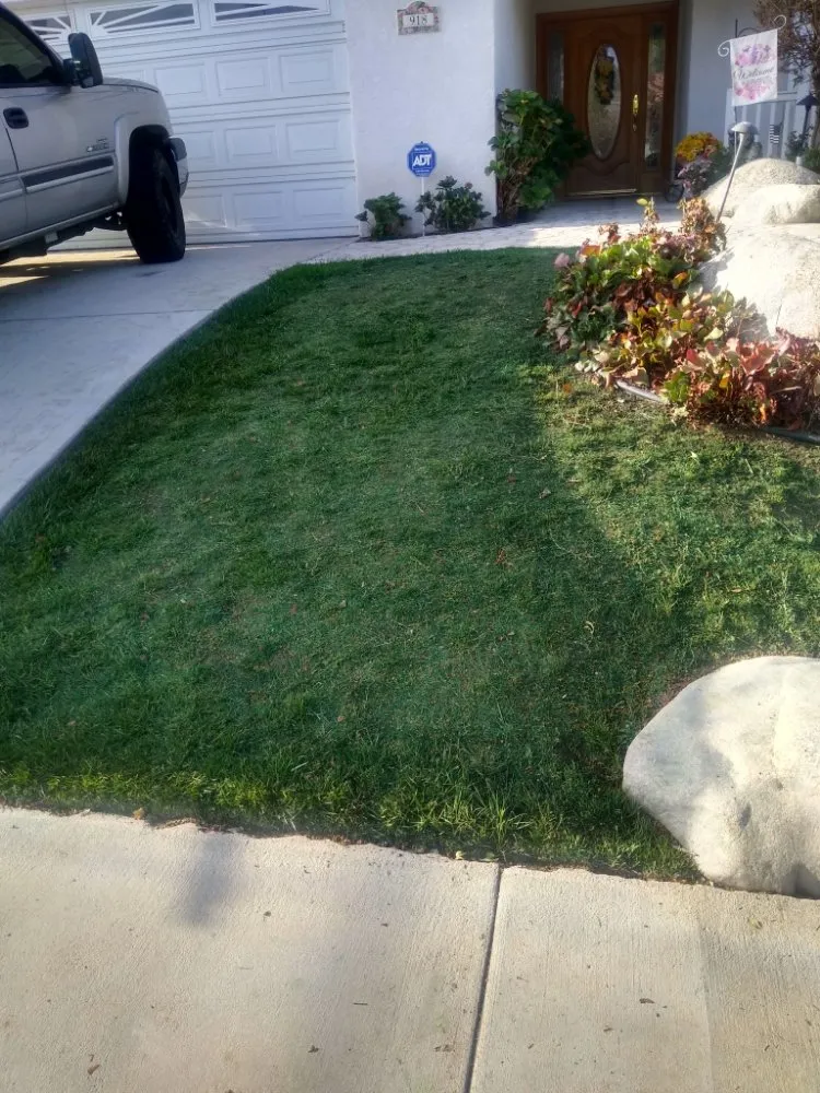 Expert yard maintenance in Canoga Park, CA - AAA Lawn Painting