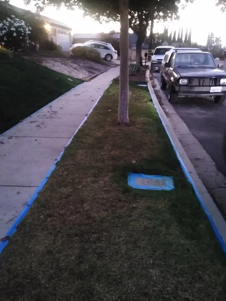 Reliable yard cleanup service in Canoga Park, CA - AAA Lawn Painting