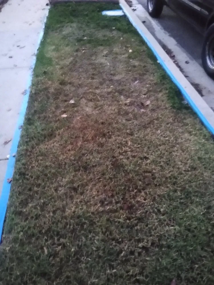 Custom outdoor landscaping experts serving Canoga Park, CA - AAA Lawn Painting