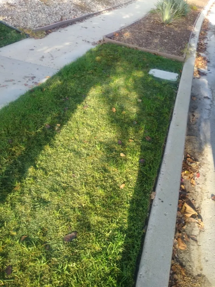 Affordable landscape installation with custom design across Canoga Park, CA - AAA Lawn Painting