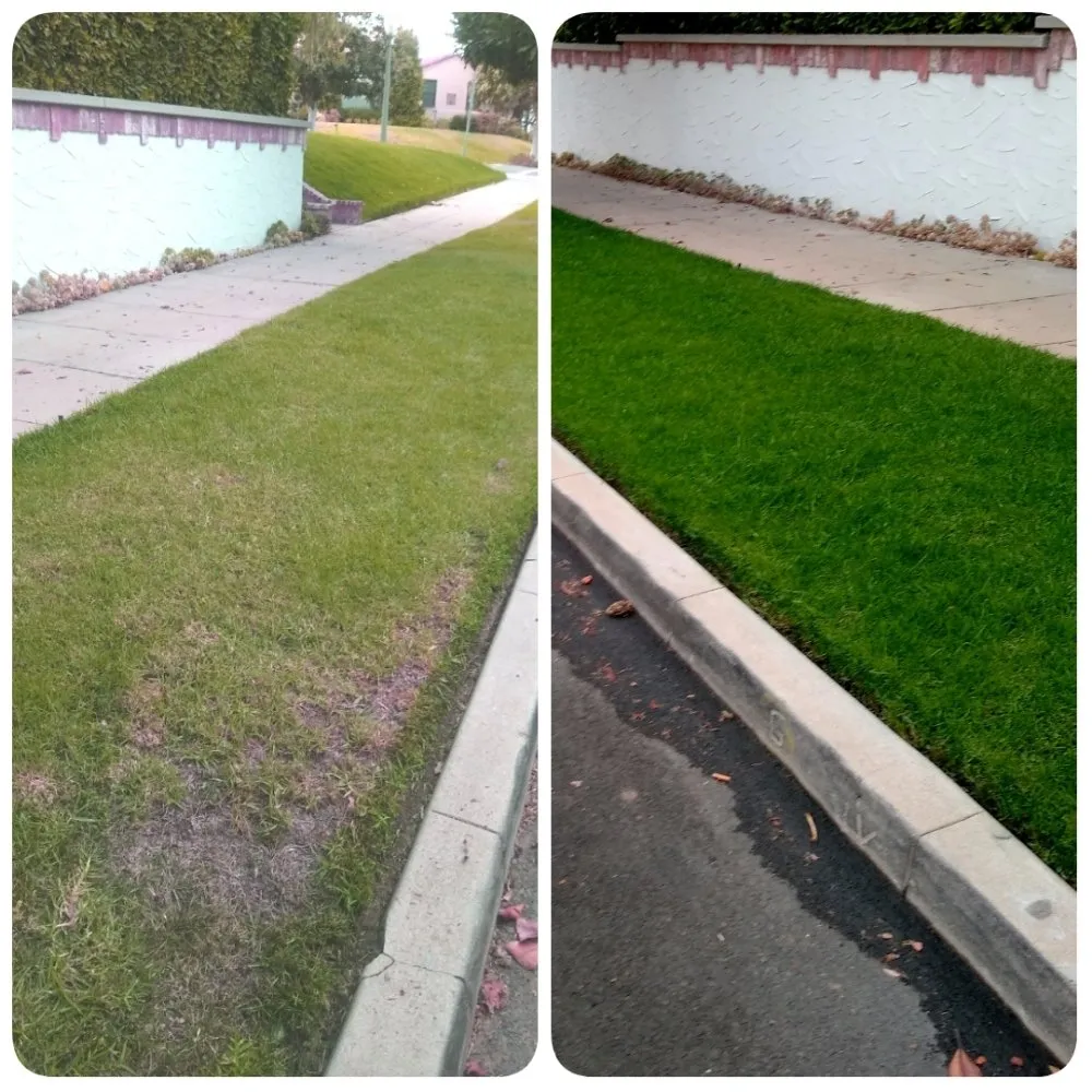 Local residential landscaping for outdoor upgrades in Canoga Park, CA by AAA Lawn Painting