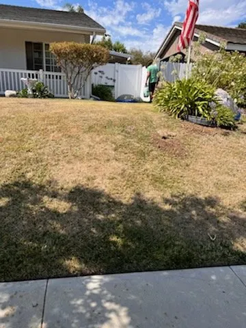 Affordable landscape design for beautiful yards across Canoga Park, CA - AAA Lawn Painting