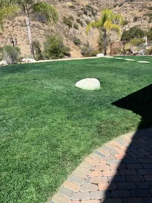 AAA Lawn Painting Logo