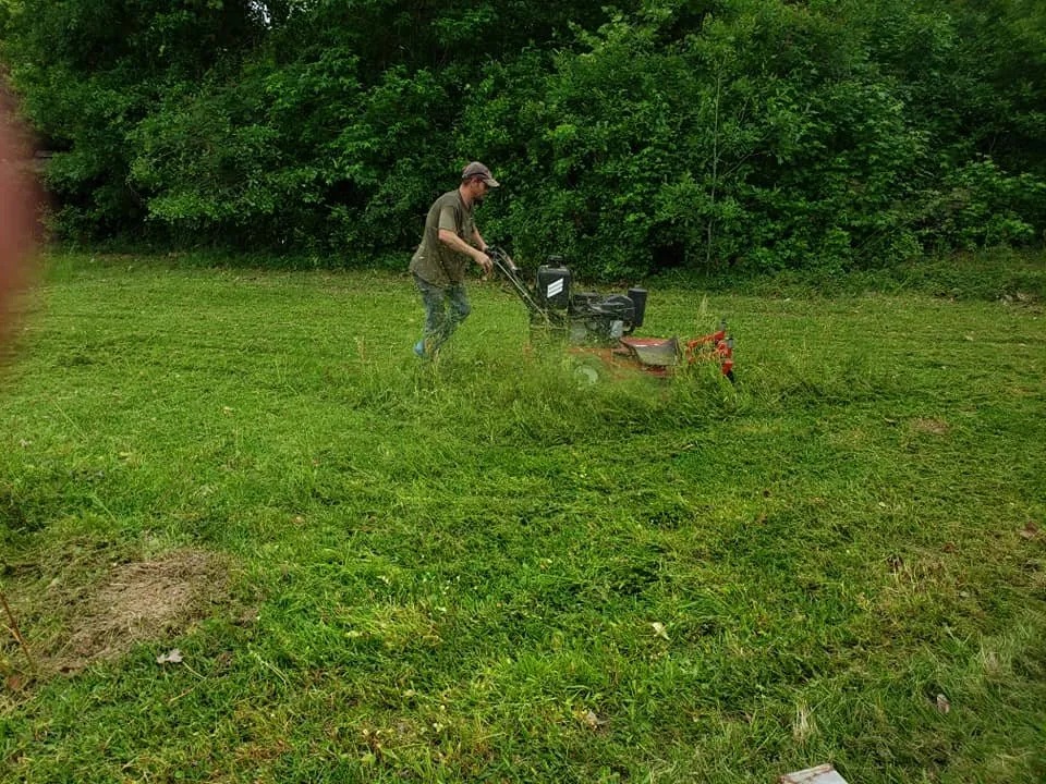 Reliable landscape installation for residential properties in Splendora, TX by AAA Lawn Service