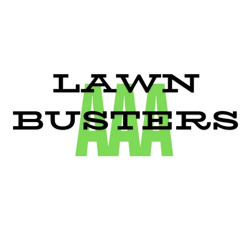 Local yard cleanup service in Orlando, FL - AAA Lawnbusters