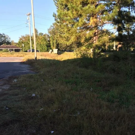 Professional landscape installation for residential properties across Goose Creek, SC - AAA Livingston Property Services