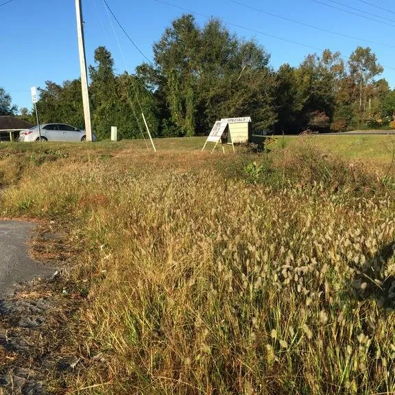 Reliable lawn mowing service in Goose Creek, SC by AAA Livingston Property Services