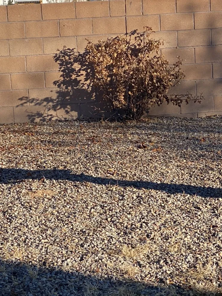 Reliable garden landscaping experts serving Albuquerque, NM - Aaa Lujan Landscaping