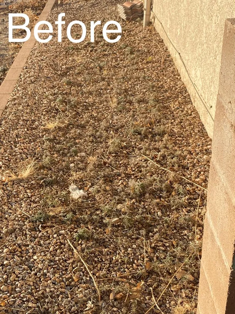 Local lawn mowing service experts serving Albuquerque, NM - Aaa Lujan Landscaping