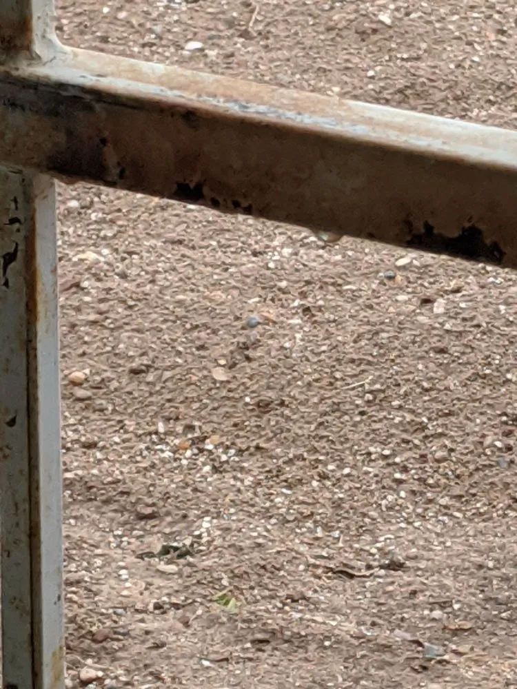 Top-rated landscaping services for homes across Albuquerque, NM - Aaa Lujan Landscaping