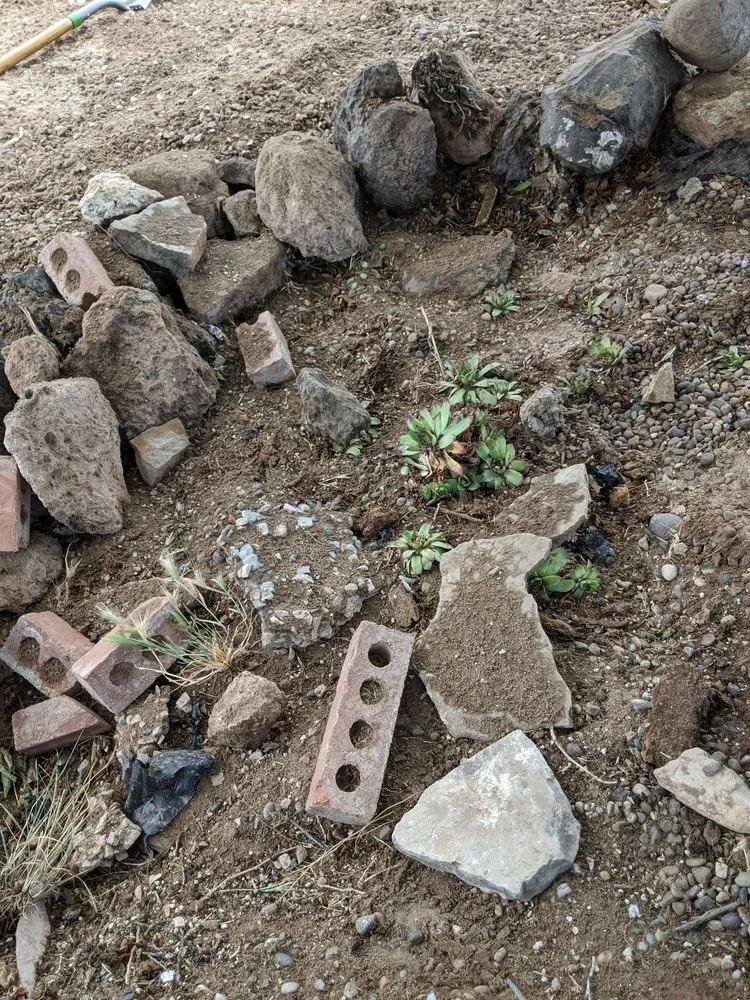 Expert landscaping services in Albuquerque, NM by Aaa Lujan Landscaping