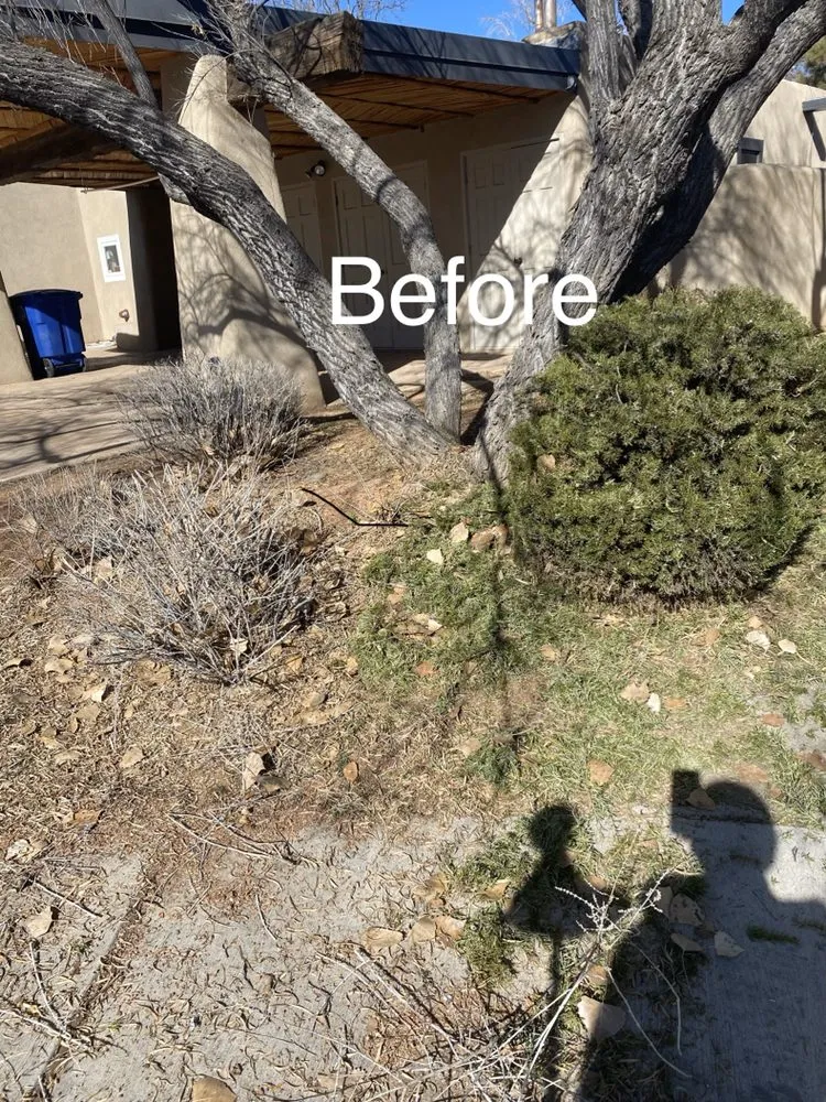 Expert residential landscaping in Albuquerque, NM - Aaa Lujan Landscaping