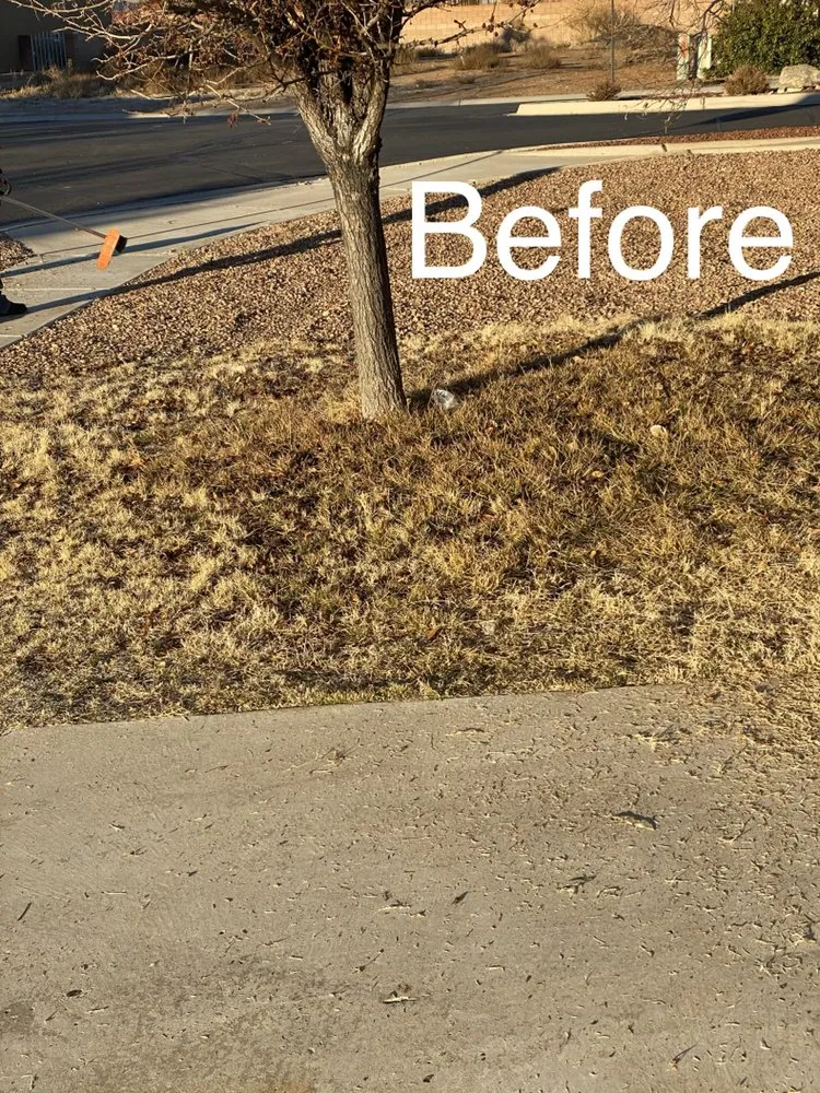 Professional garden landscaping experts serving Albuquerque, NM - Aaa Lujan Landscaping