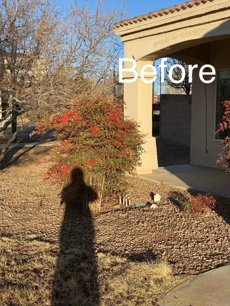 Reliable yard maintenance for homes in Albuquerque, NM by Aaa Lujan Landscaping