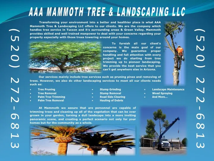 Top-rated garden landscaping in Tucson, AZ - AAA Mammoth Tree and Landscaping