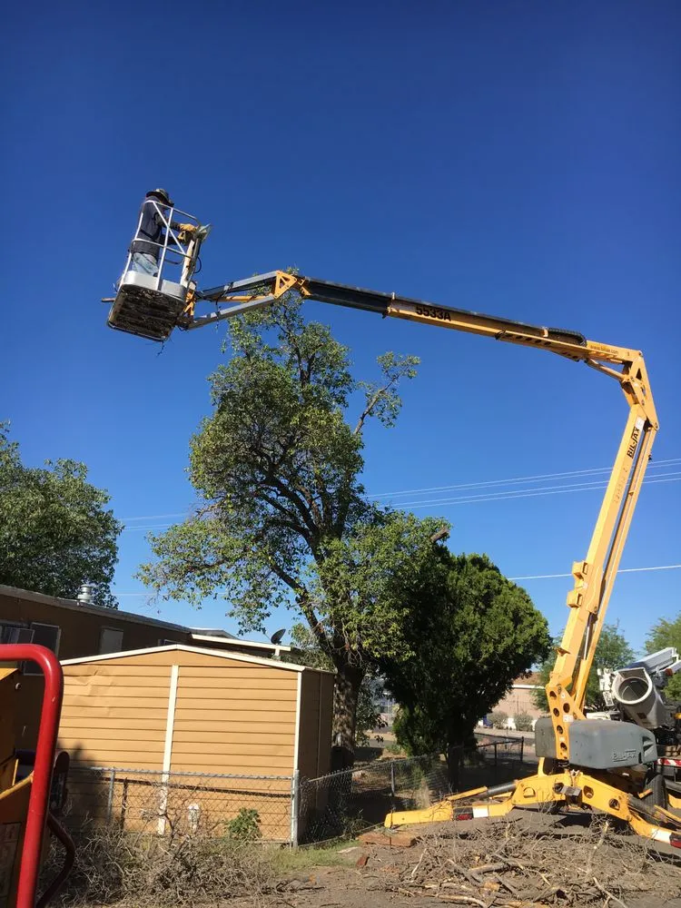 Affordable outdoor landscaping near you across Tucson, AZ - AAA Mammoth Tree and Landscaping