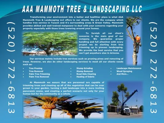 AAA Mammoth Tree and Landscaping Logo