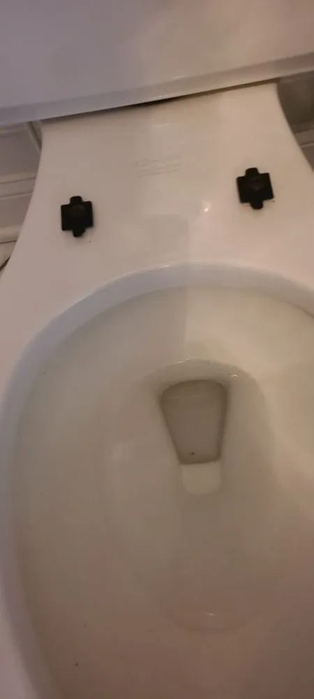 Custom yard cleanup service in Huntingtown, MD - AAA Multiple Services