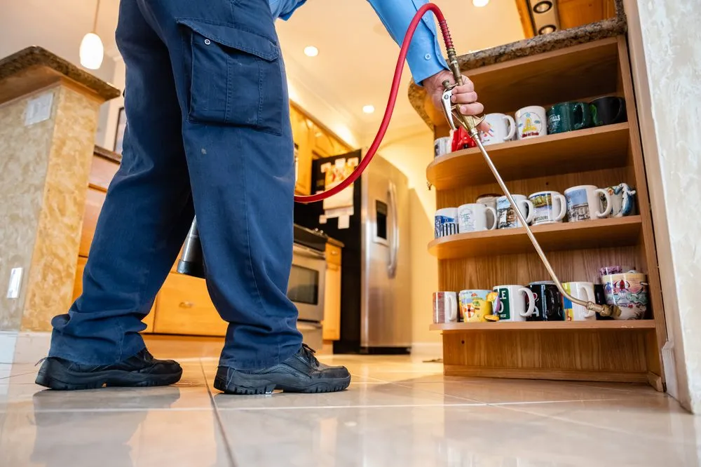 Reliable landscape installation for year-round maintenance in Fort Lauderdale, FL by AAA Pest Control