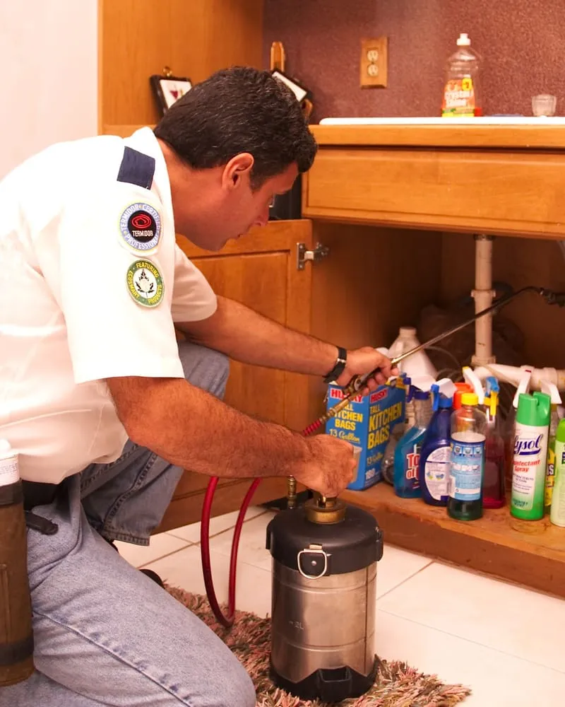 Trusted yard maintenance experts serving Fort Lauderdale, FL - AAA Pest Control