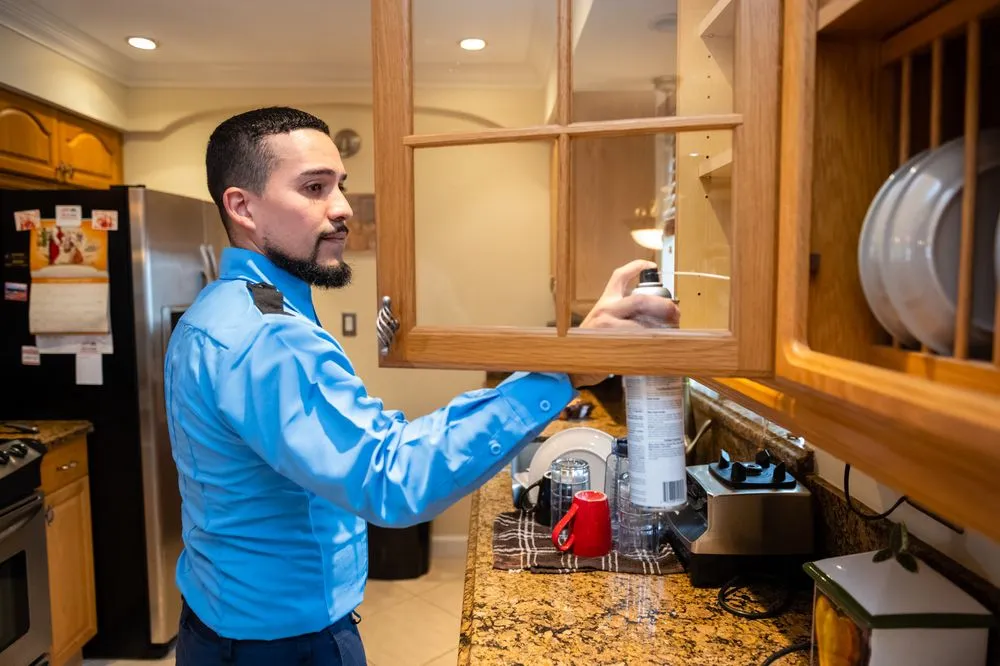 Trusted landscape installation experts serving Fort Lauderdale, FL - AAA Pest Control